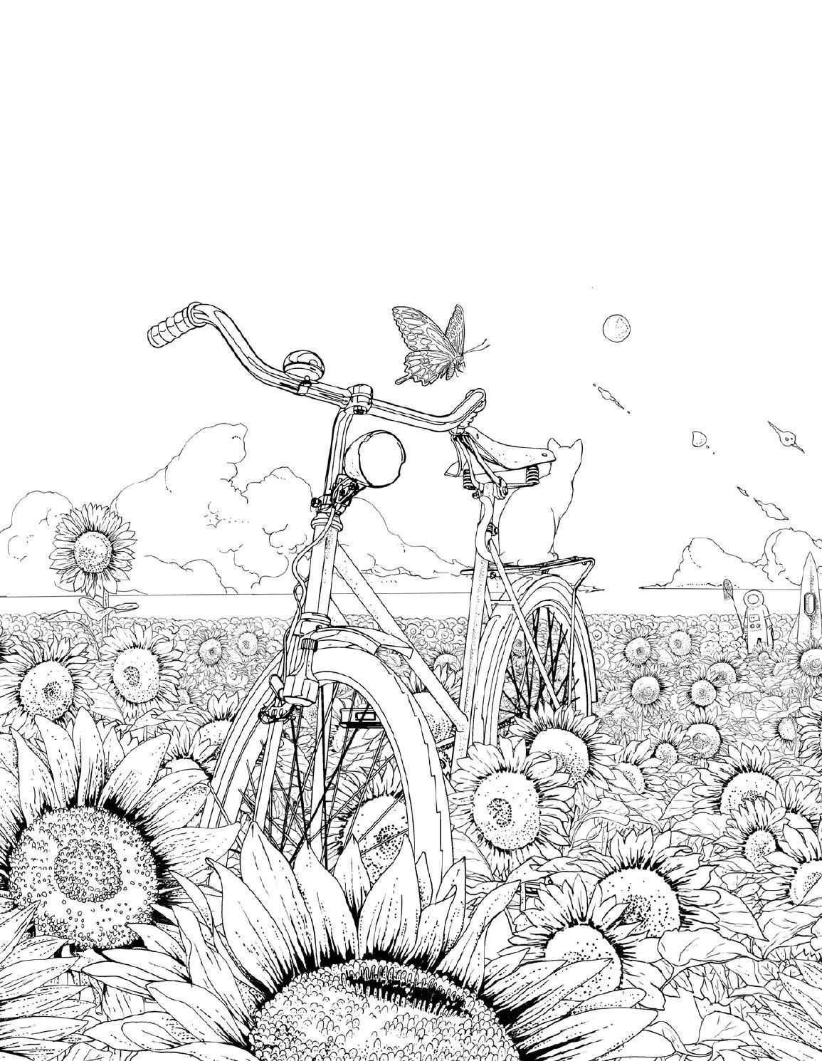 Поле подсолнухов раскраска