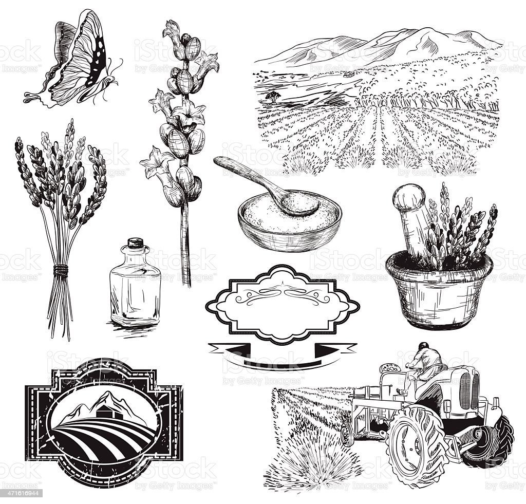 Раскраски в прованском стиле