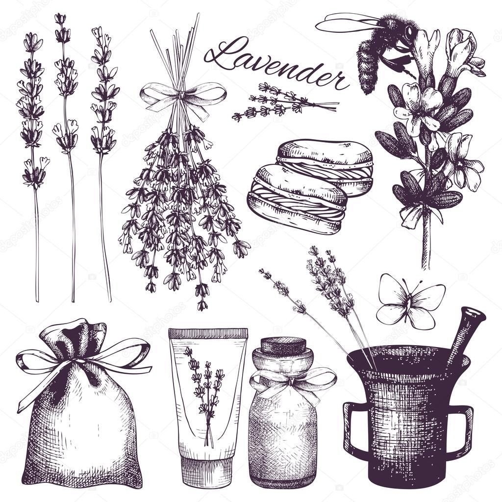 Графика сухие травы