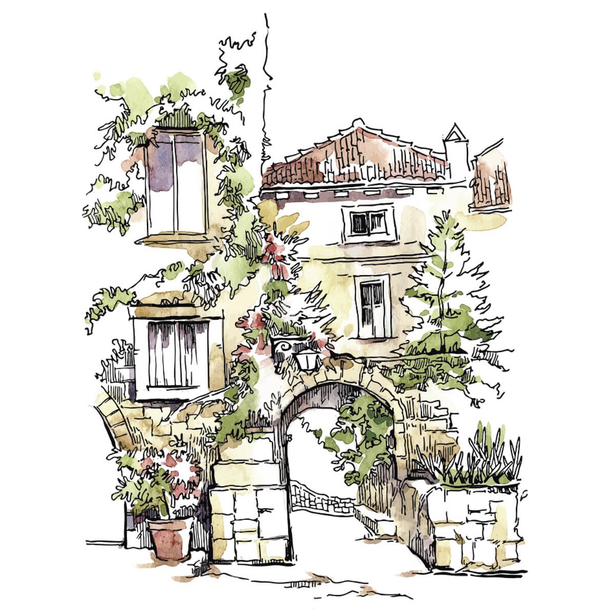 Прованс в графике