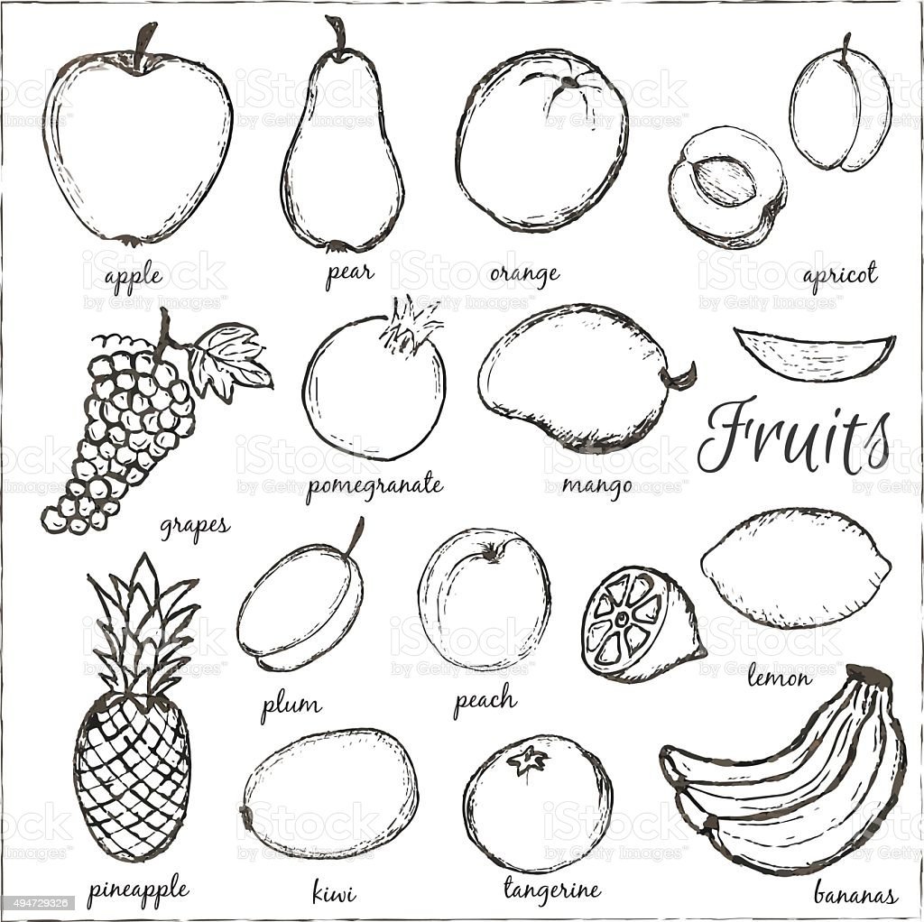 Fruits with names раскраски