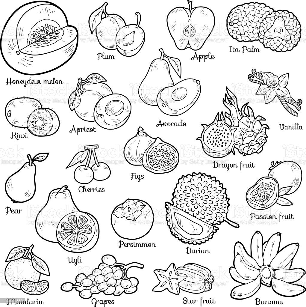 Раскраска экзотические фрукты