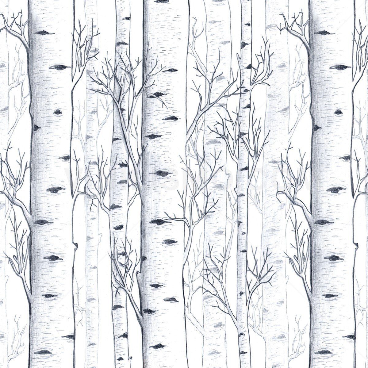 Голое дерево карандашом