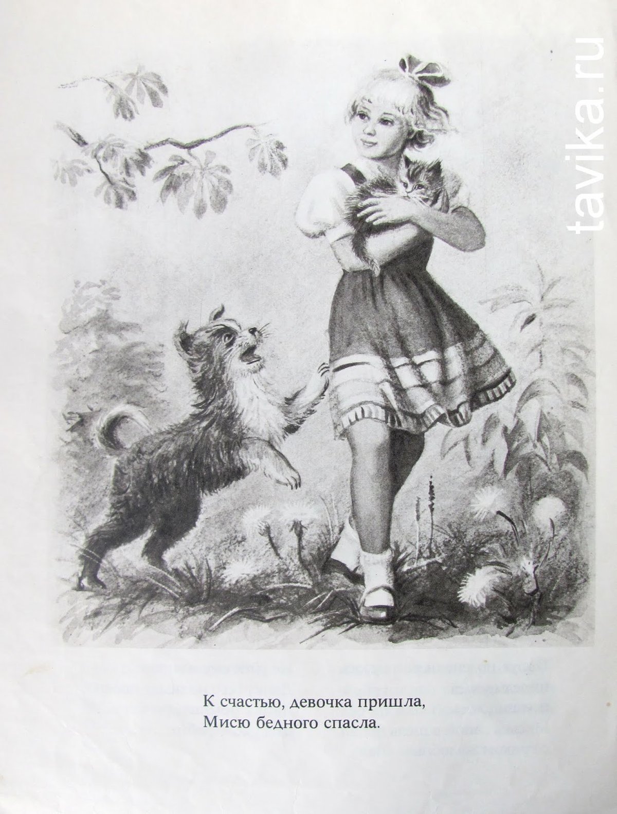 Раскраска кусака Андреева