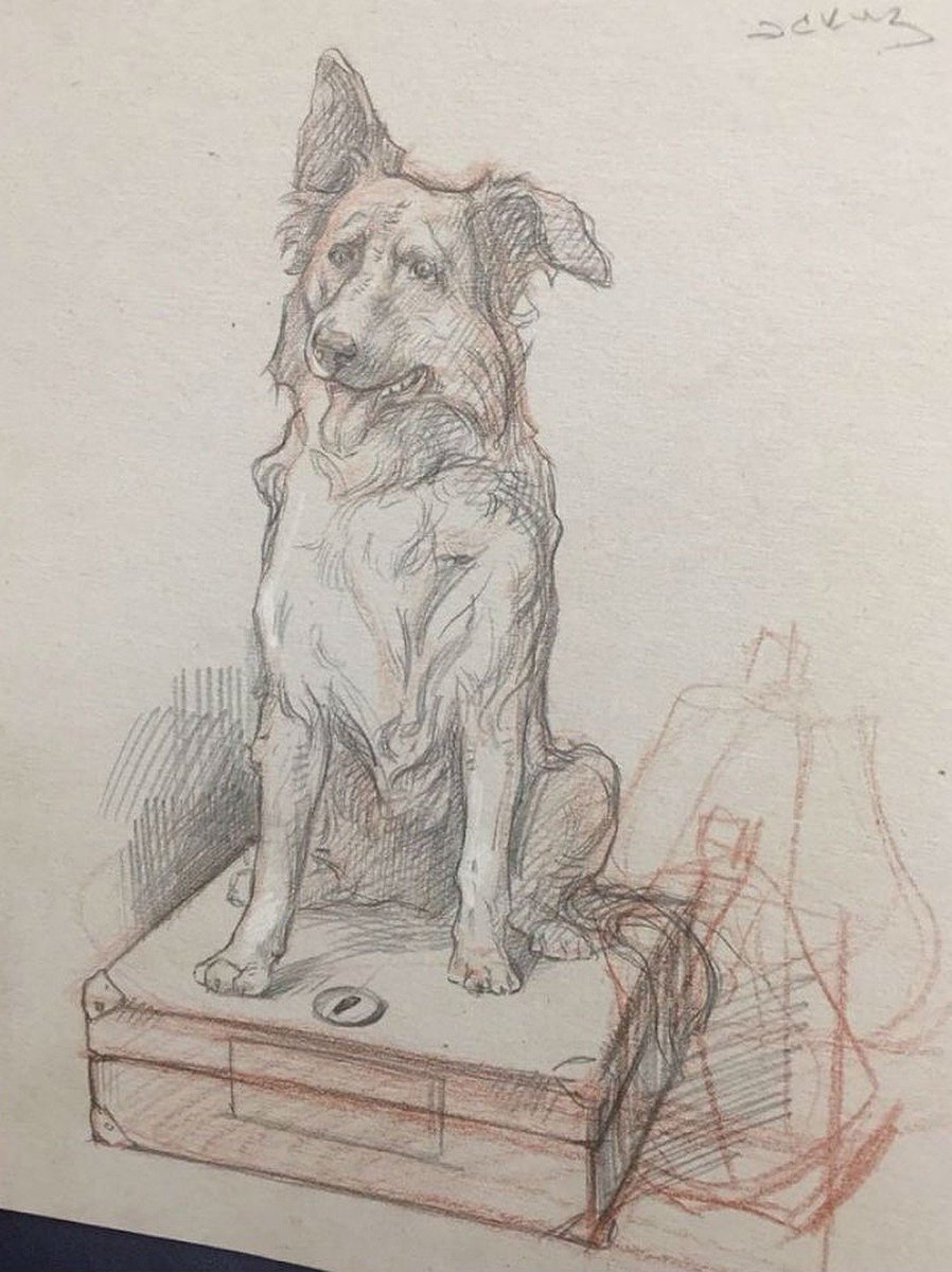 Филипок Льва Толстого иллюстрации Пахомова