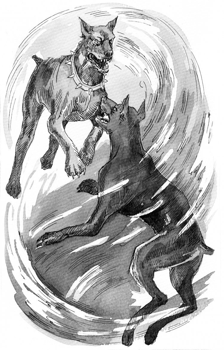 Раскраска человек с собакой