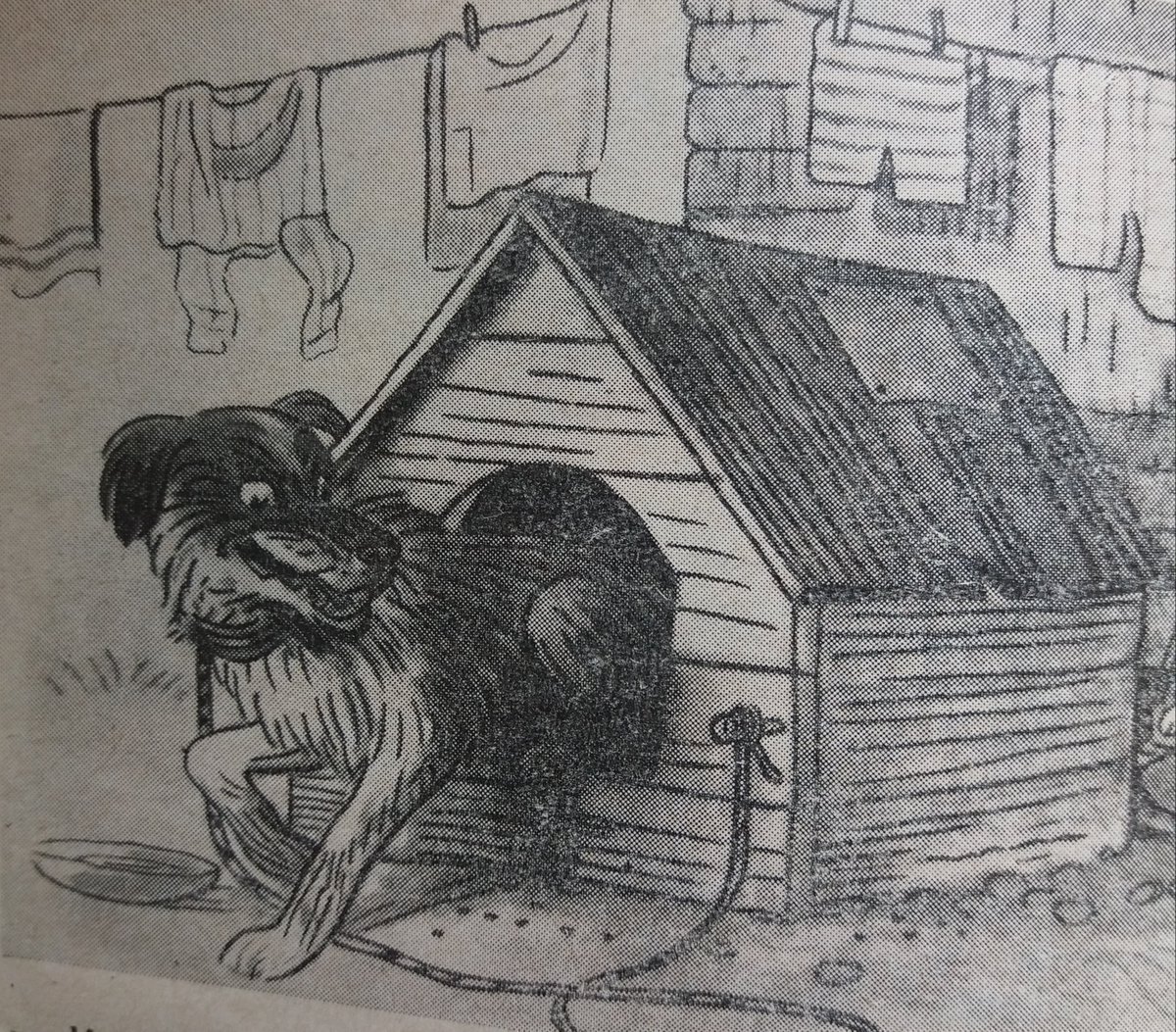 Жулька рисунок