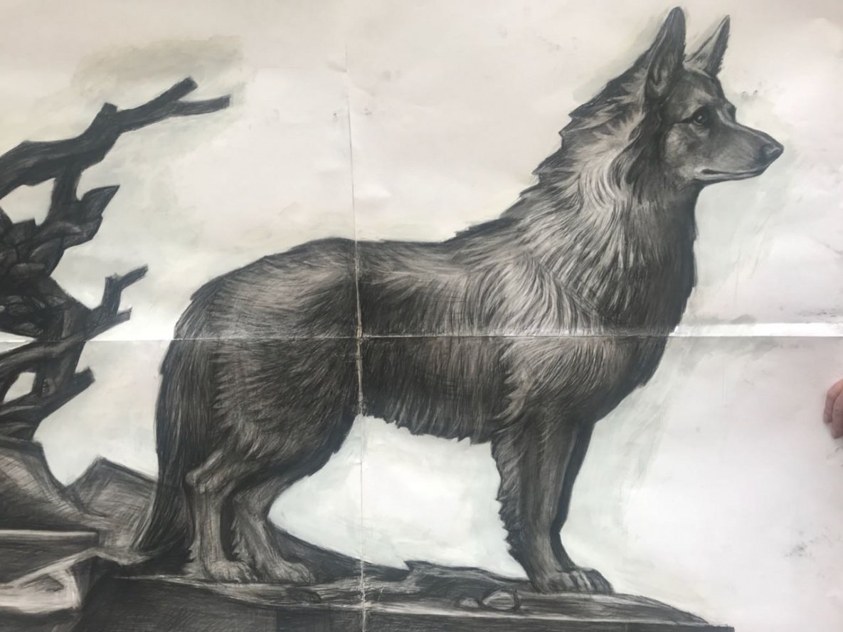 Раскраска собака овчарка