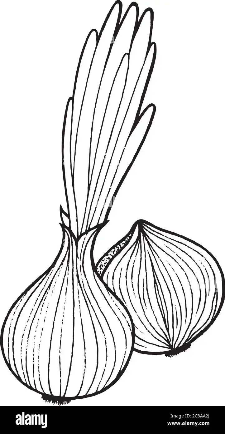 Перо раскраска