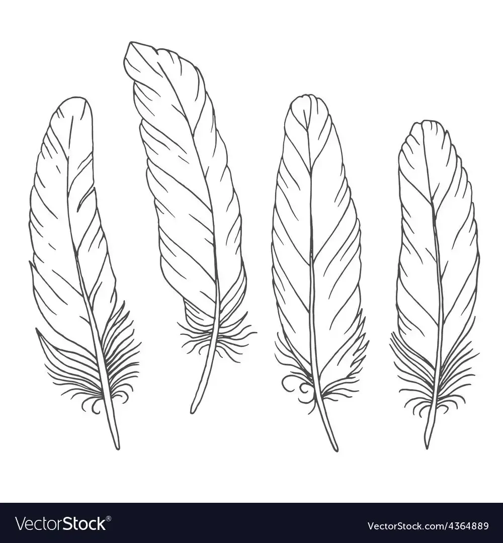 Перо контурный рисунок