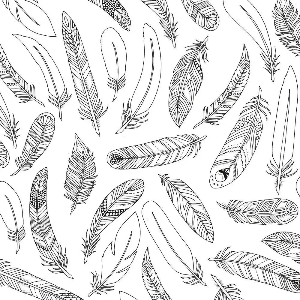 Перо черно белое