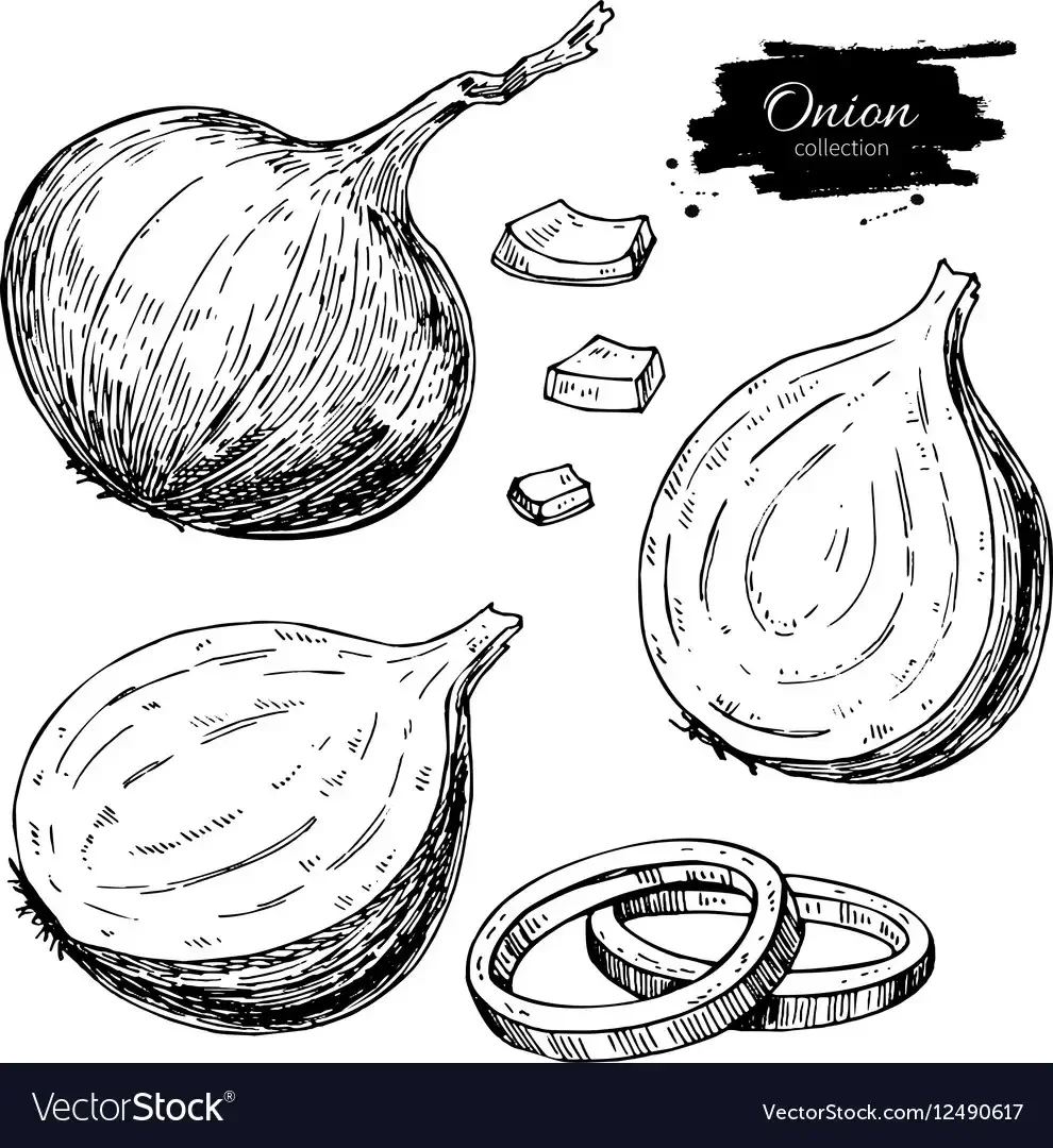 Совиное перо эскиз