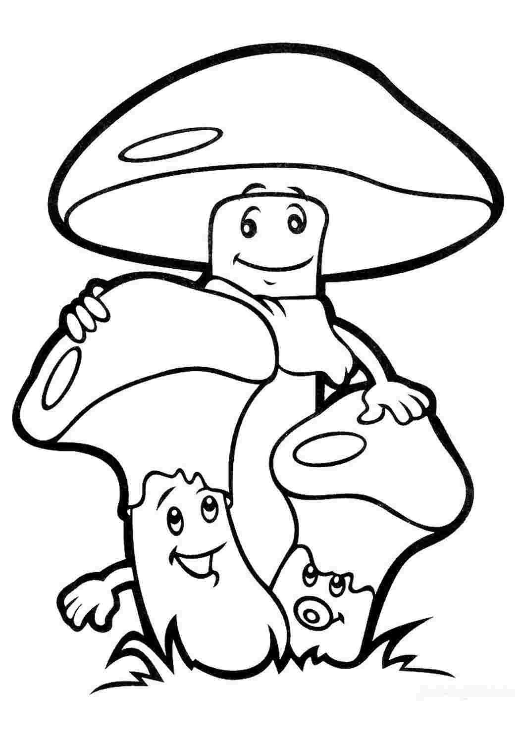 Гриб масленок раскраска для детей