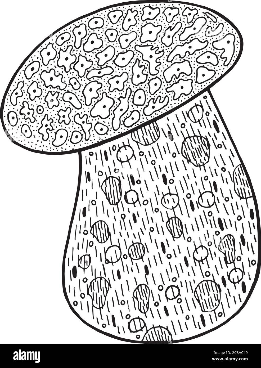 Найди и раскрась грибы