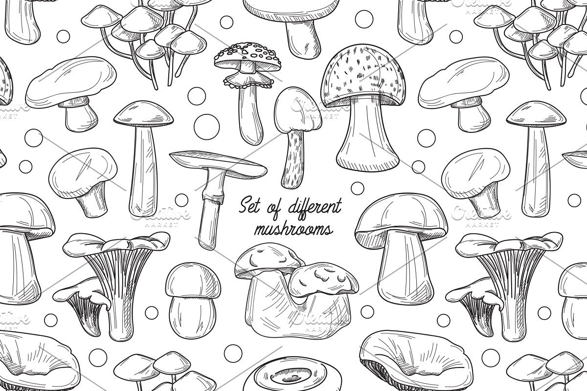 Раскраска грибы разные