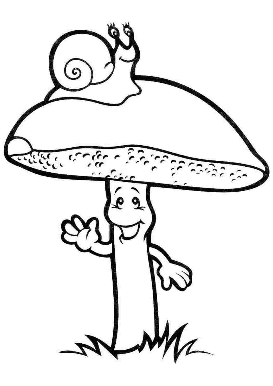Раскраска гриб моховик