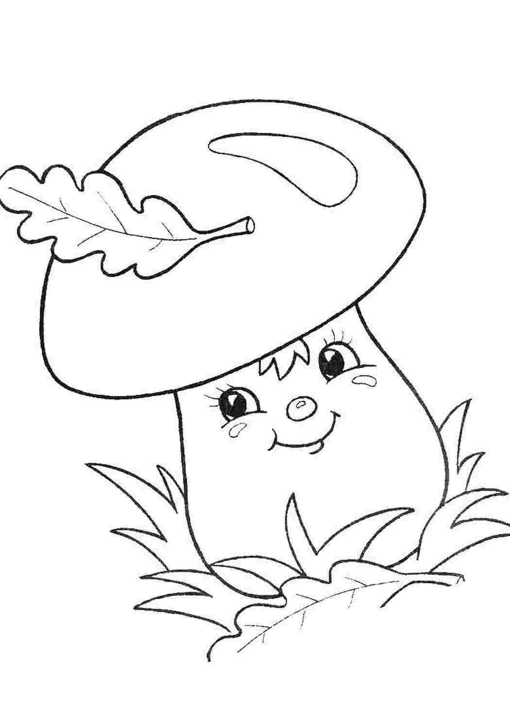 Грибы раскраска для детей