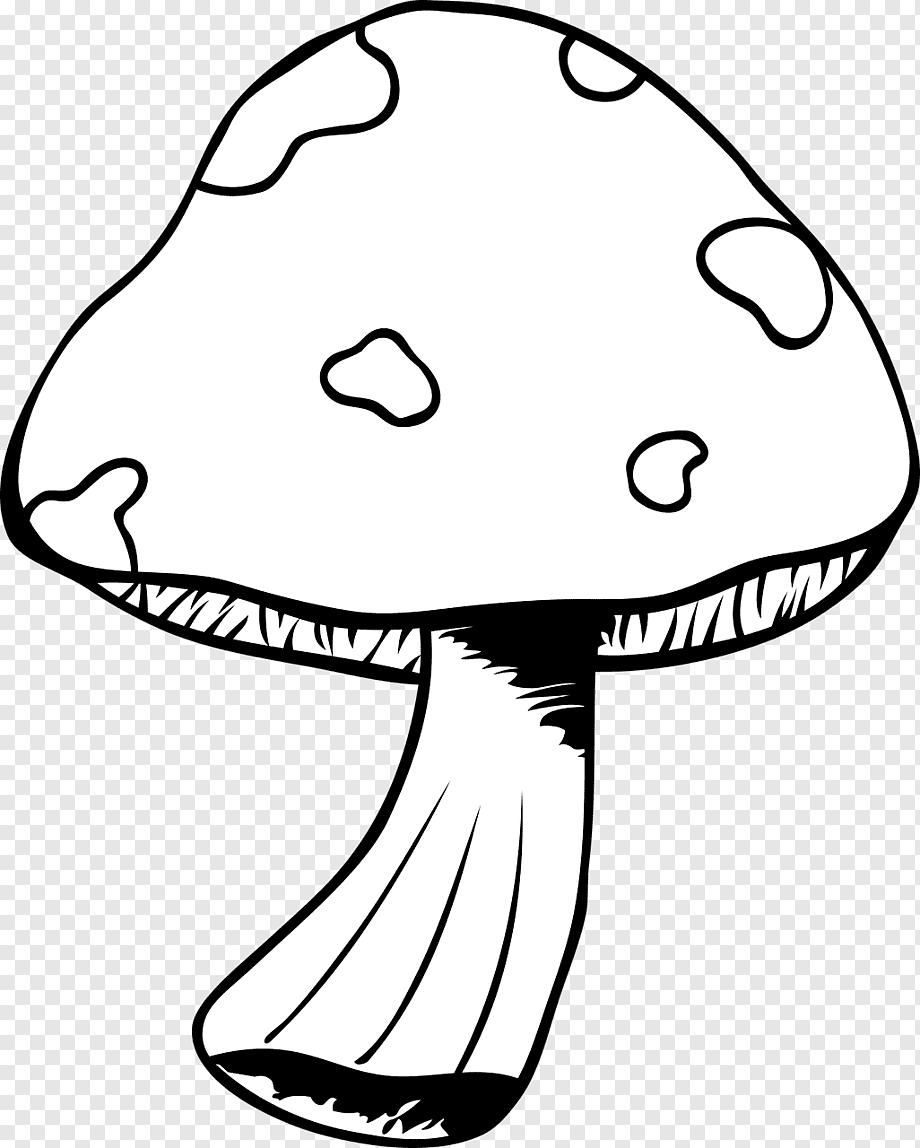 Контур грибов