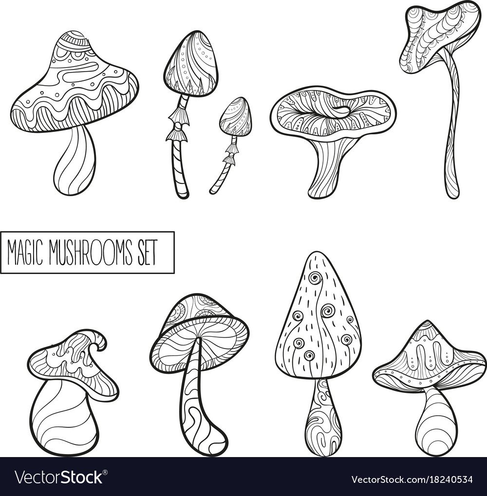 Колдовские грибы