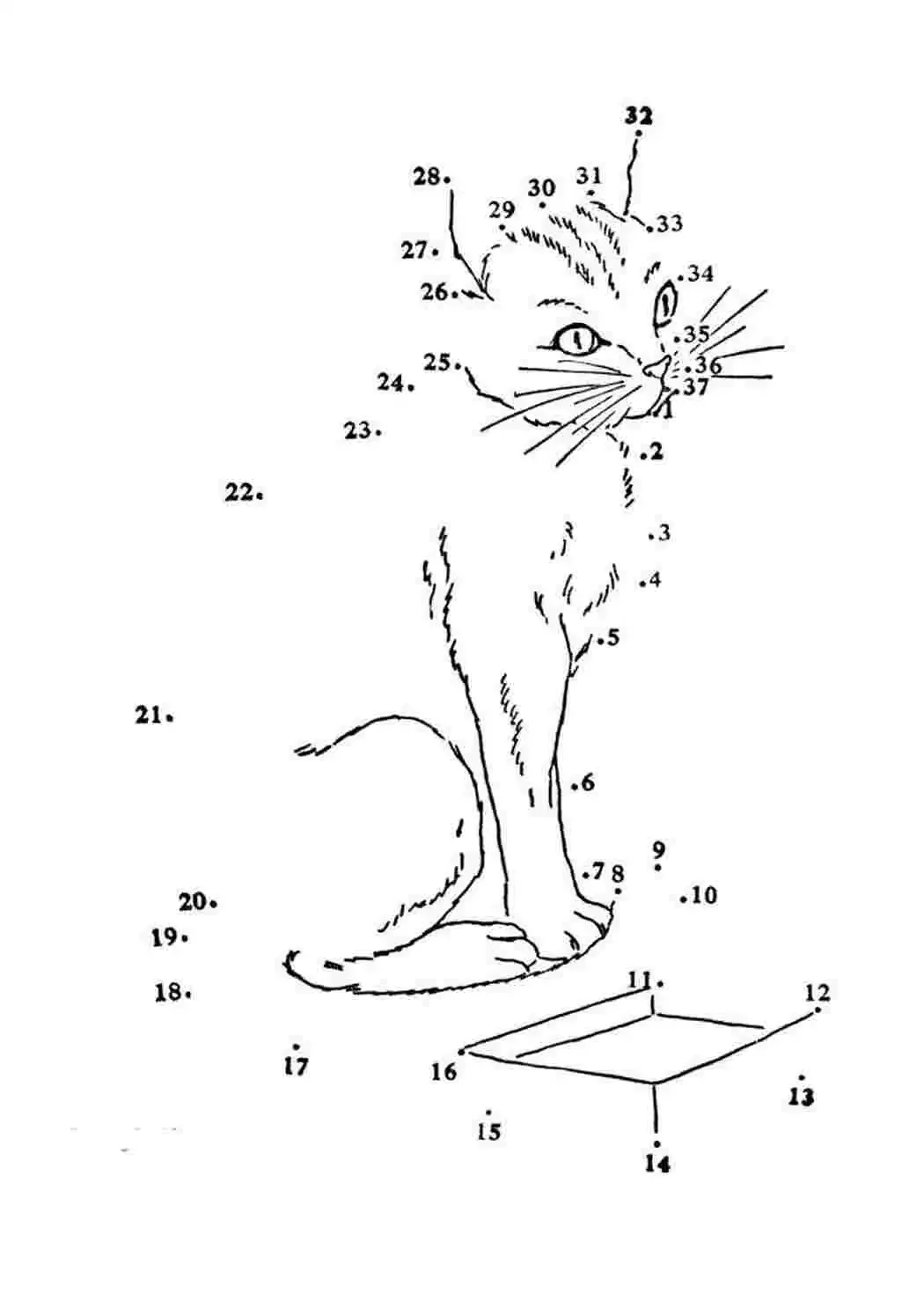 Животные по цифрам