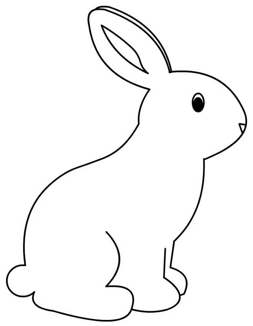 Кролик рисунок карандашом