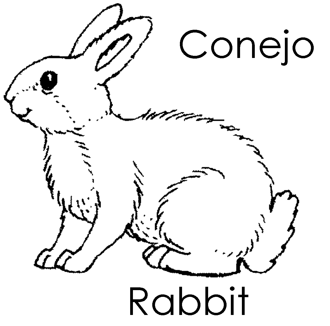 Заяц раскраска
