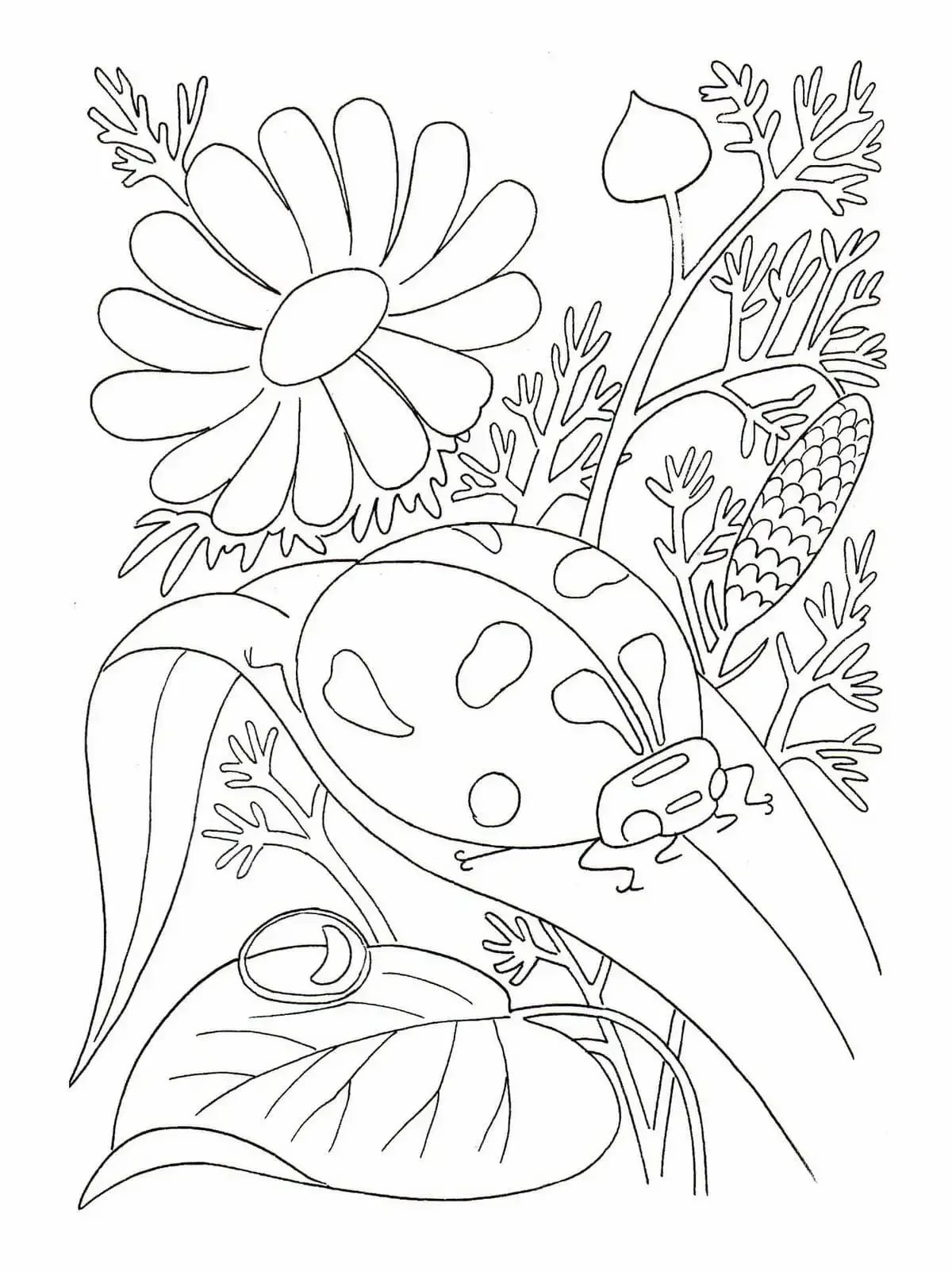 Раскраска природа