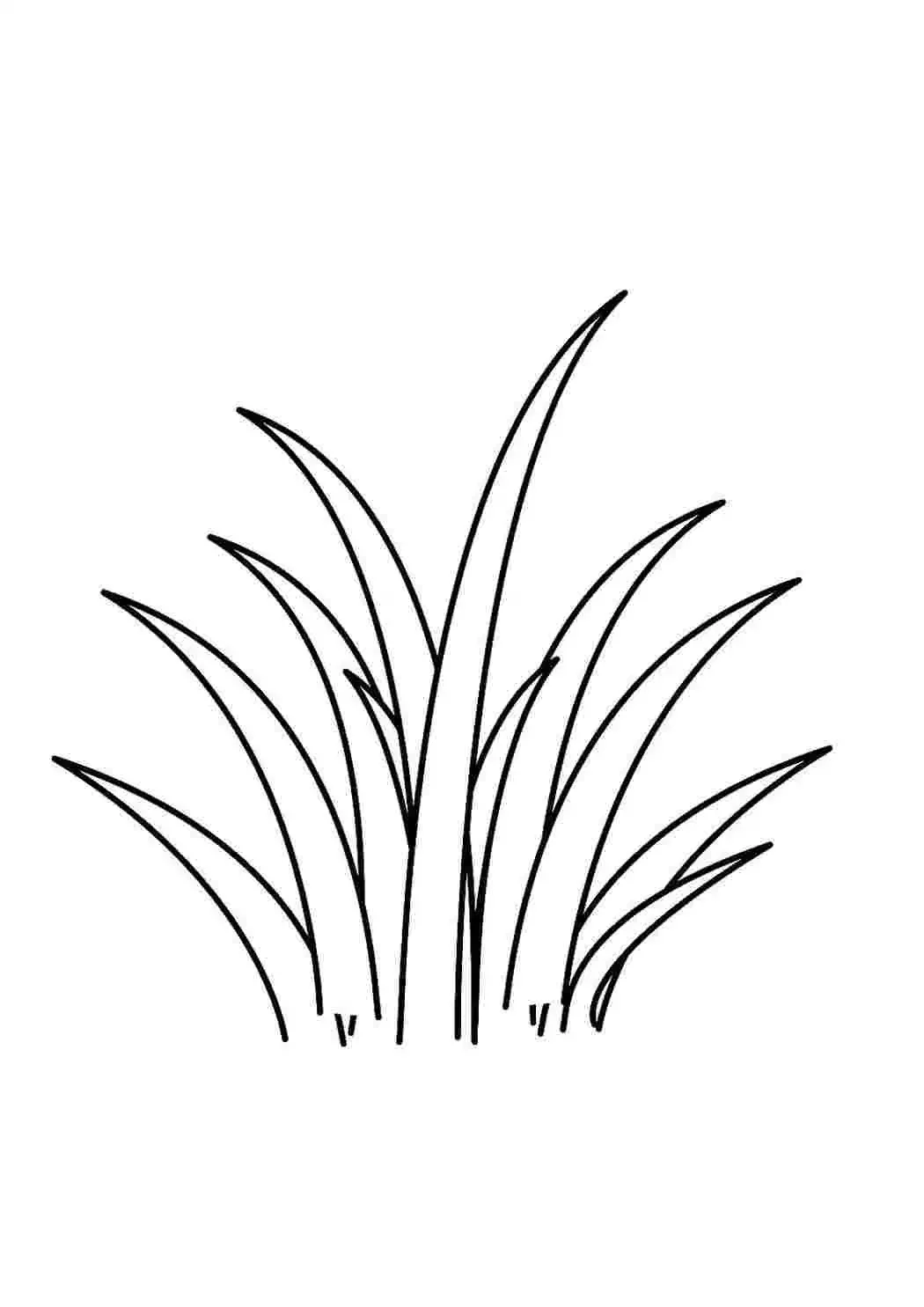 Трава раскраска