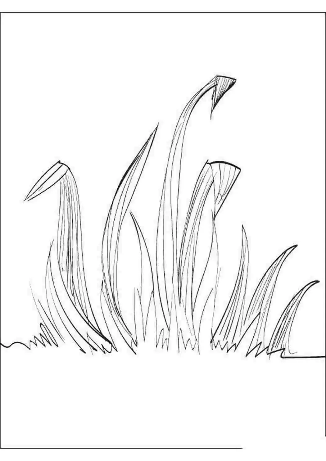Трава раскраска для детей
