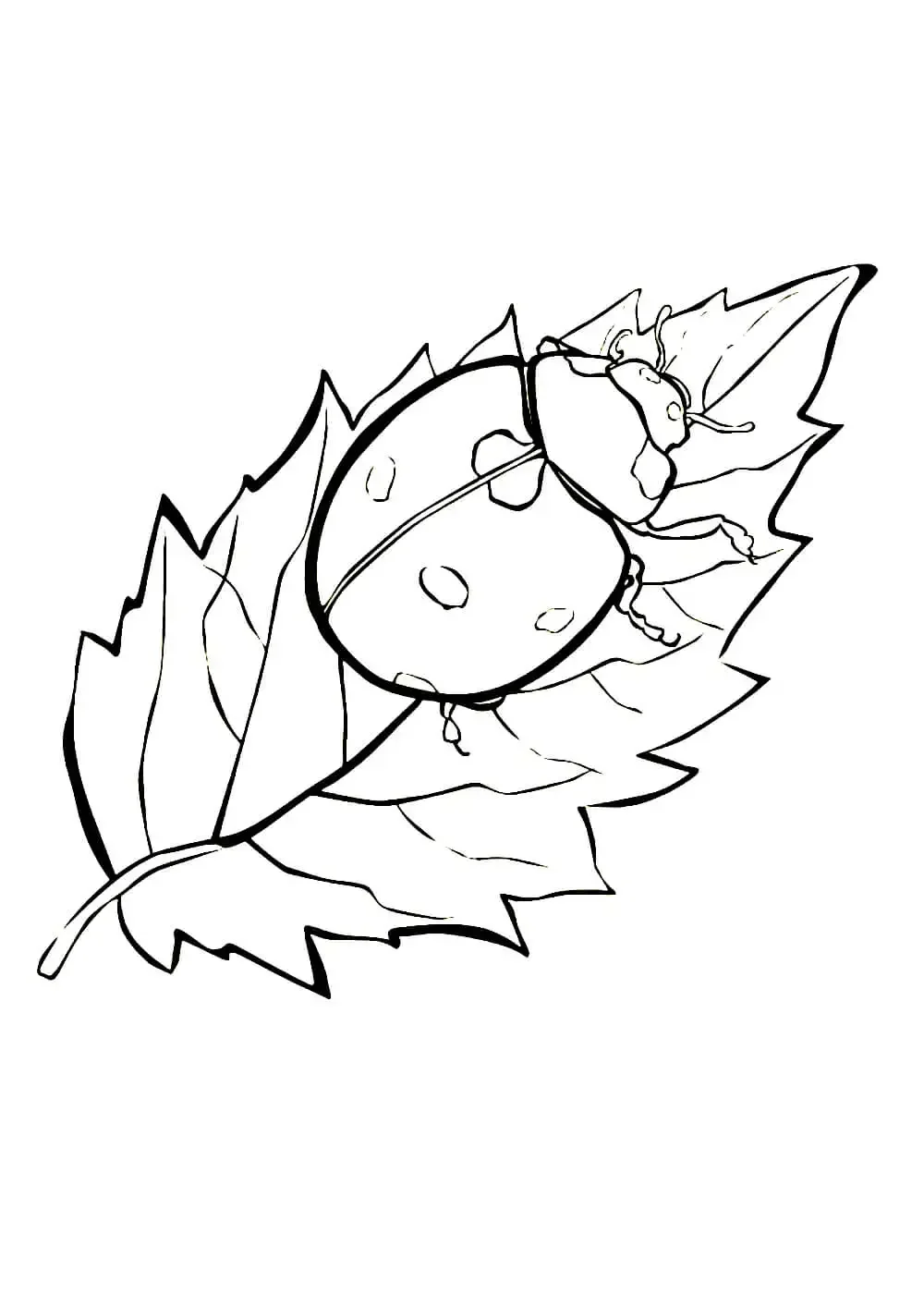 Божья коровка на листочке раскраска