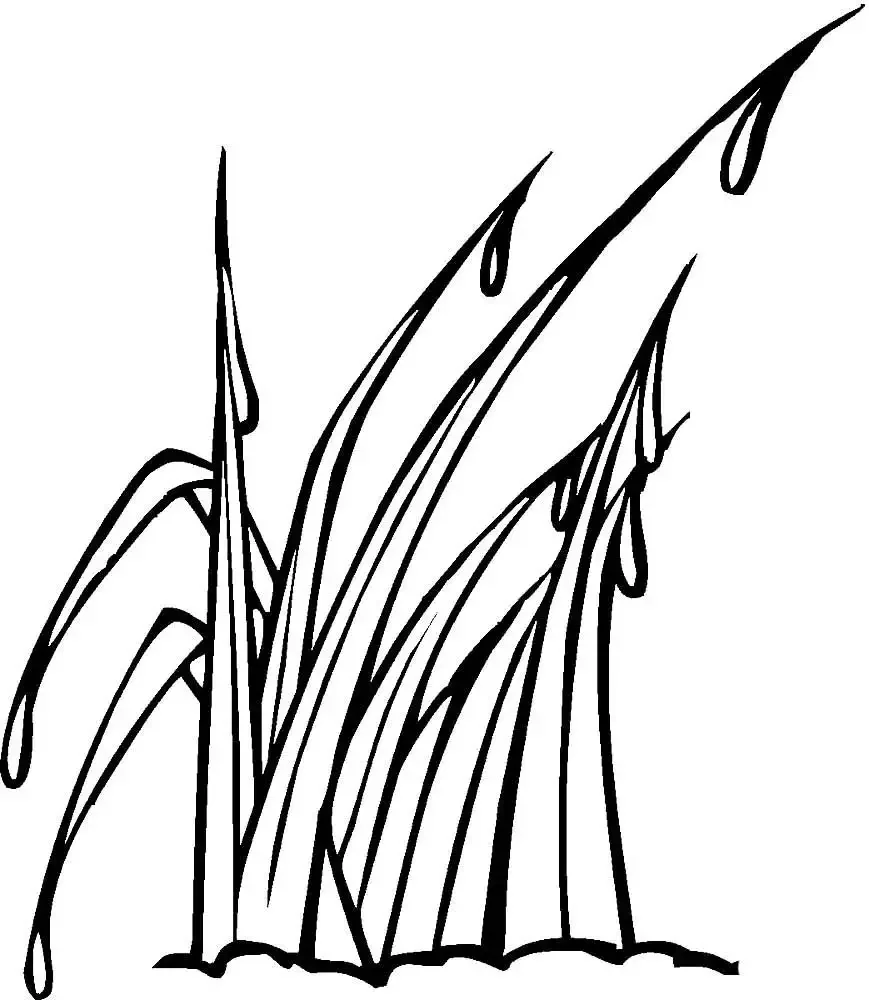 Трава раскраска