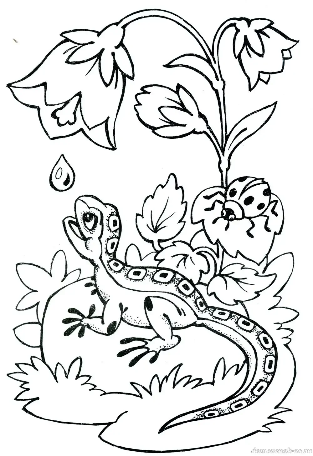 Ящерица раскраска