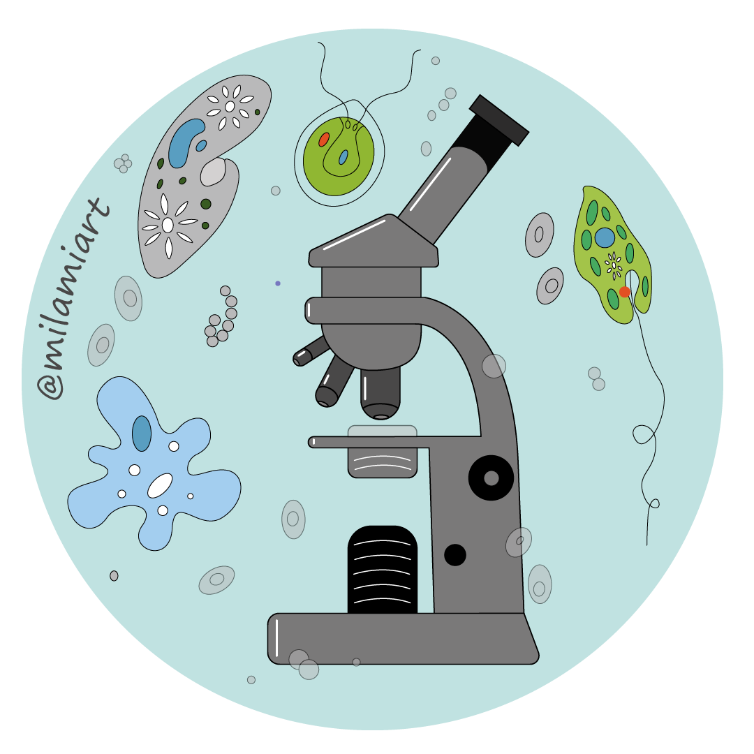 Микроскоп для микроскопии