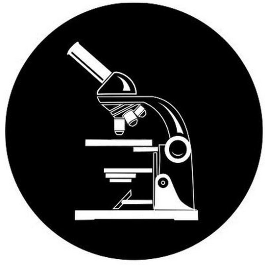 Микроскоп рисунок
