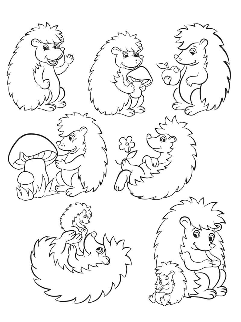 Ёжик раскраска для детей