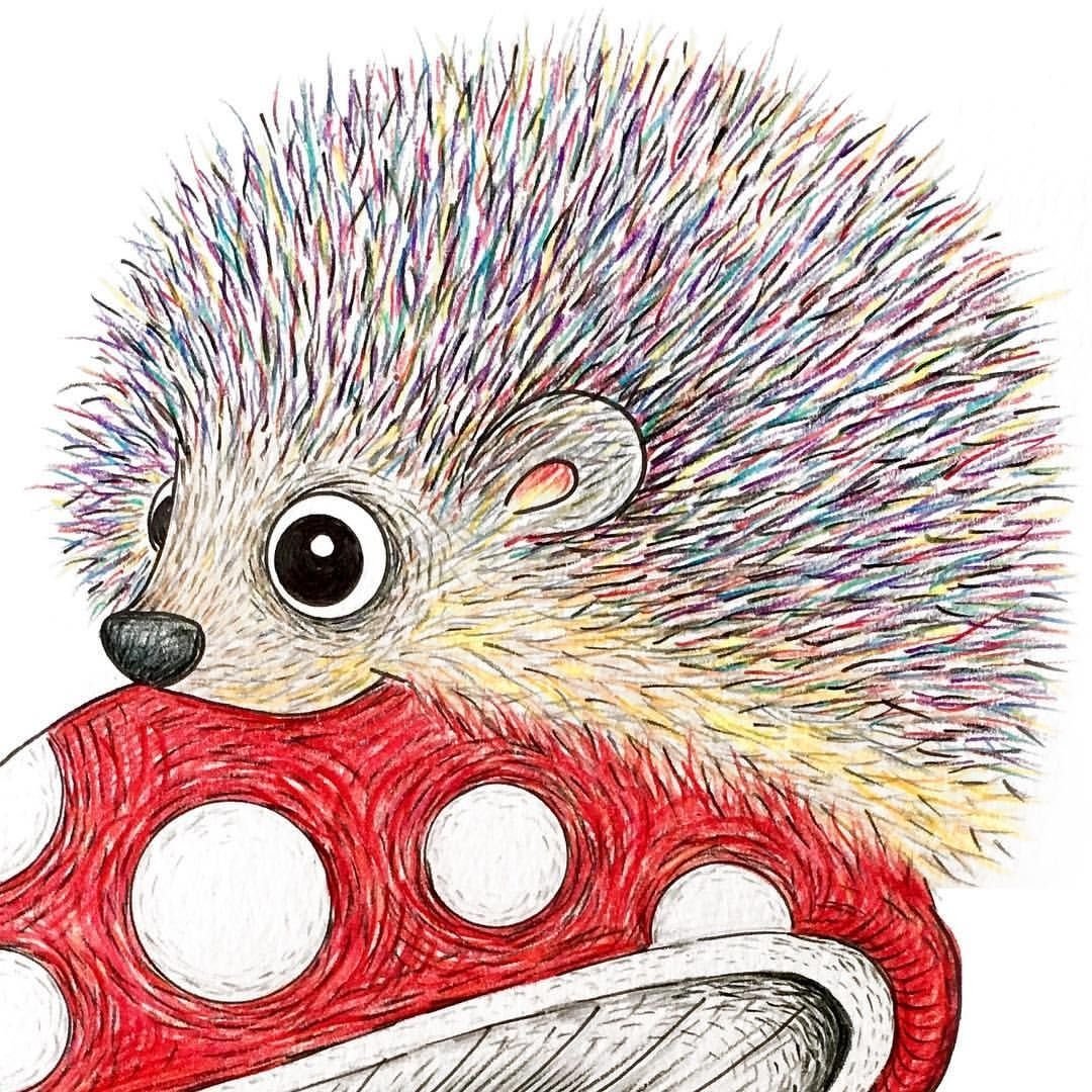 Смешной Ежик раскраска