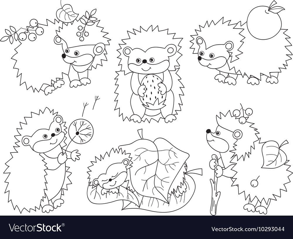 Мандалы Ежик раскраски