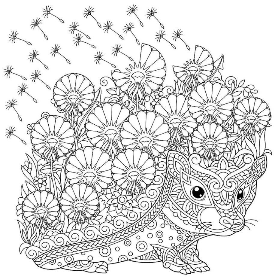 Раскраска еж без иголок для детей