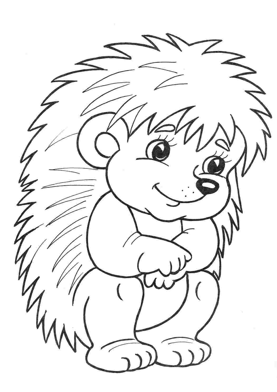 Ежик с яблоком раскраска