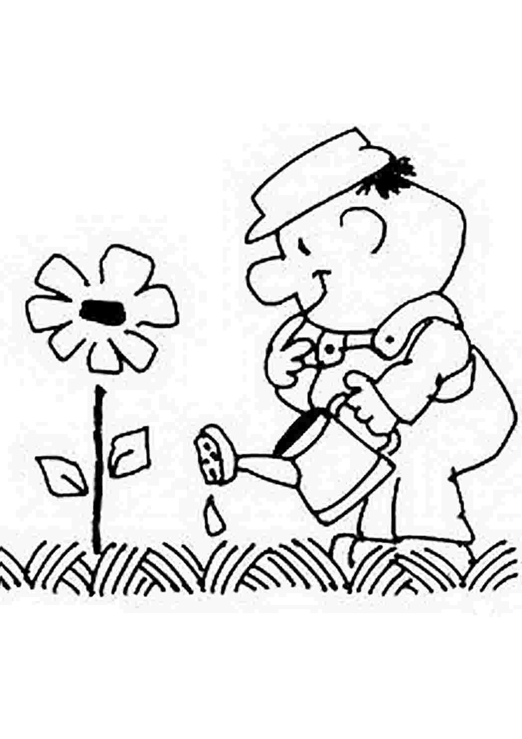 Сады. Раскраска