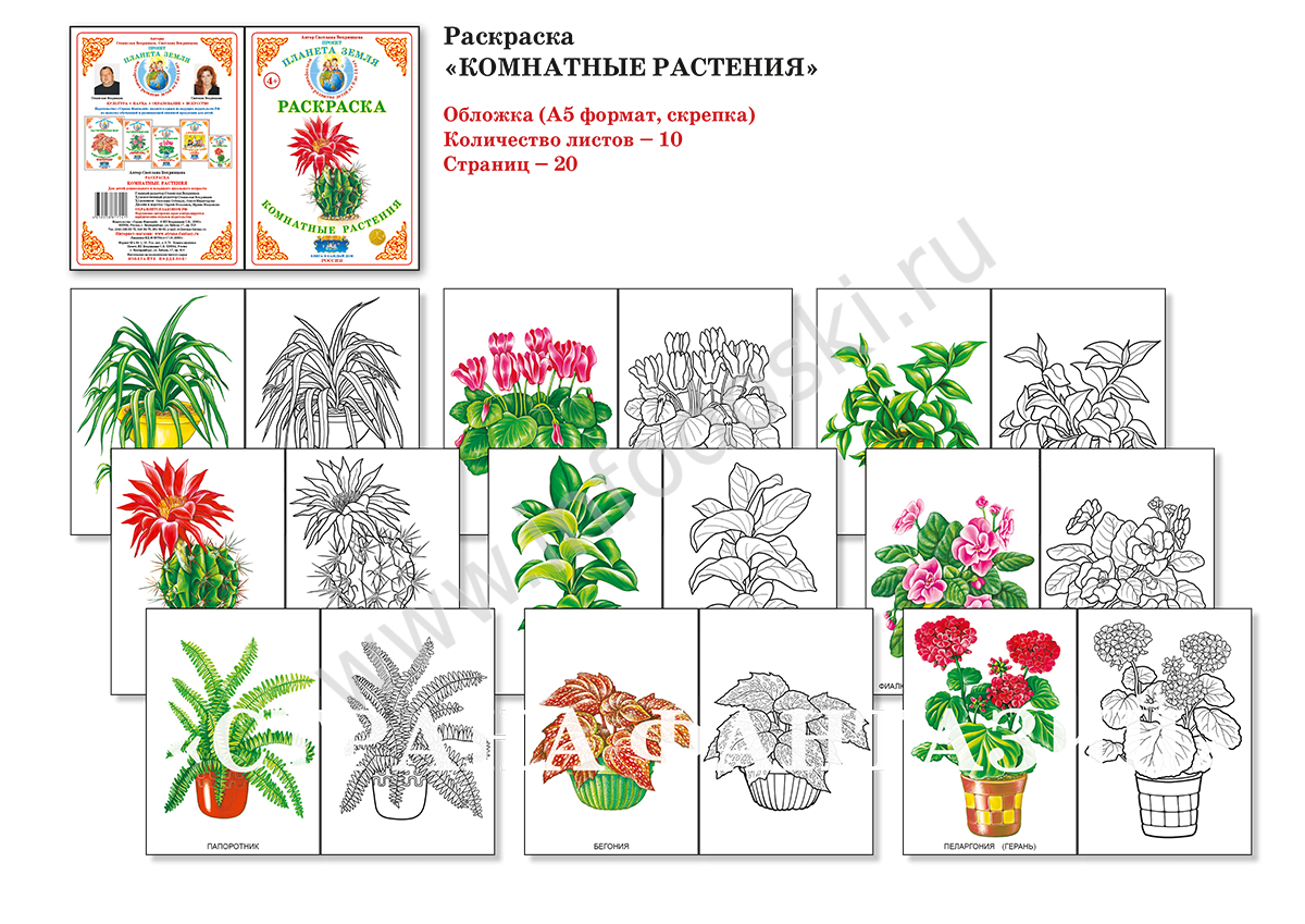 Раскраски антистресс растения