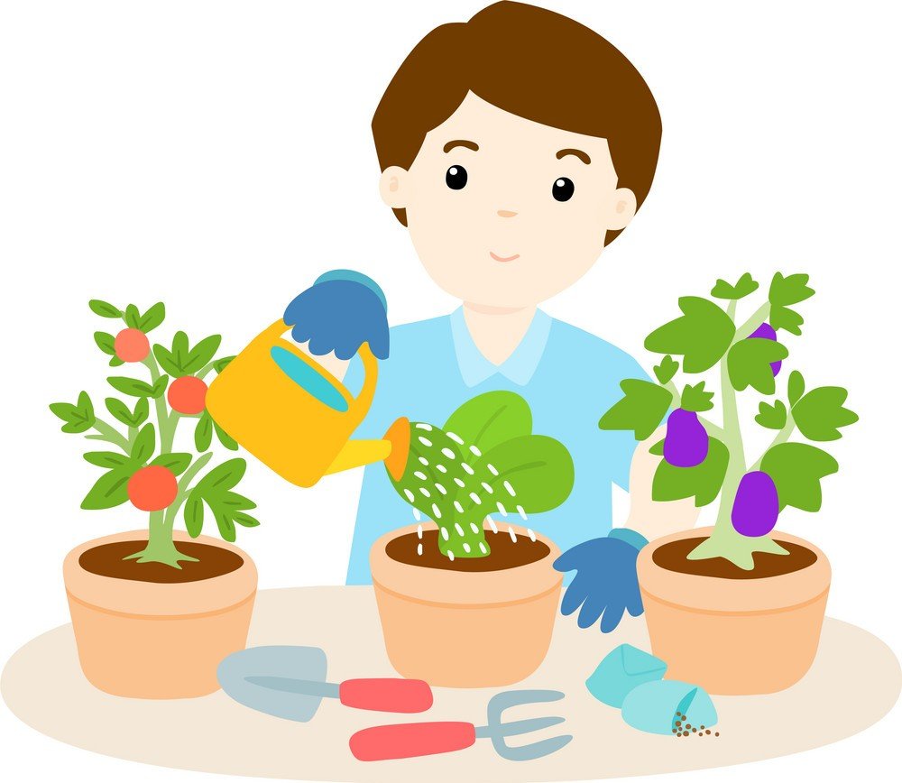 Огородник вектор