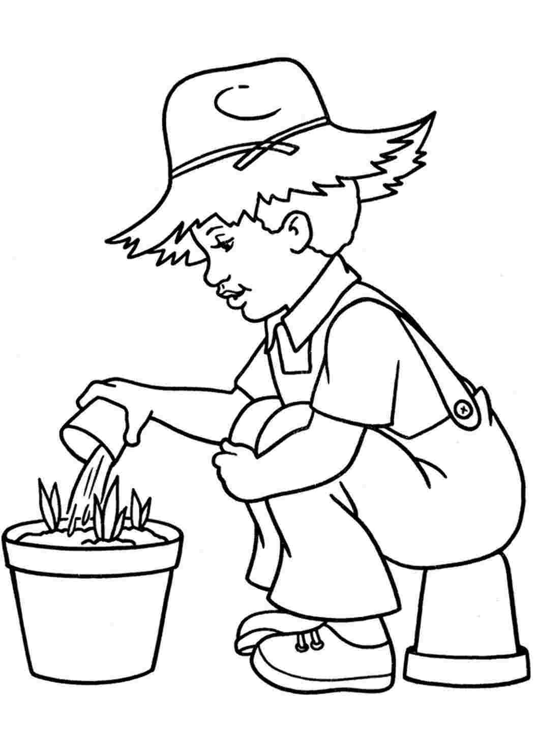 Растения садовника для детей