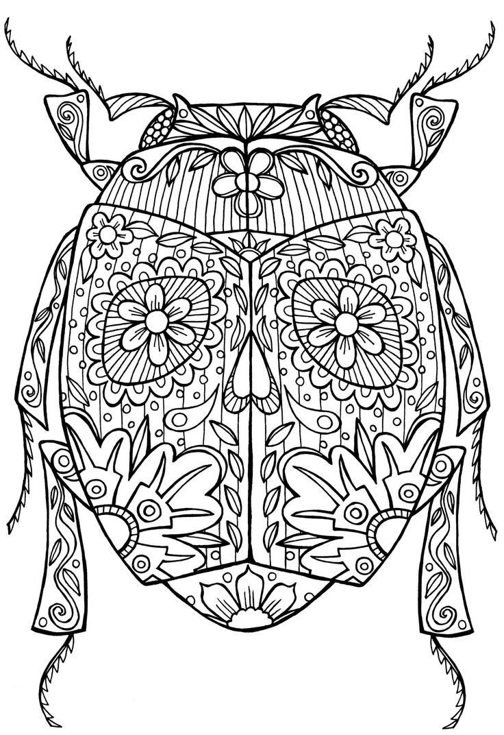 Зентангл Жук