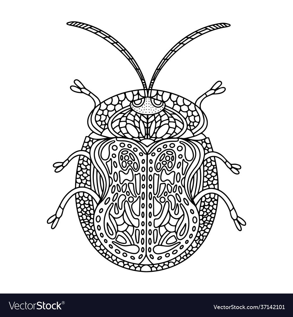 Зарисовка клопа