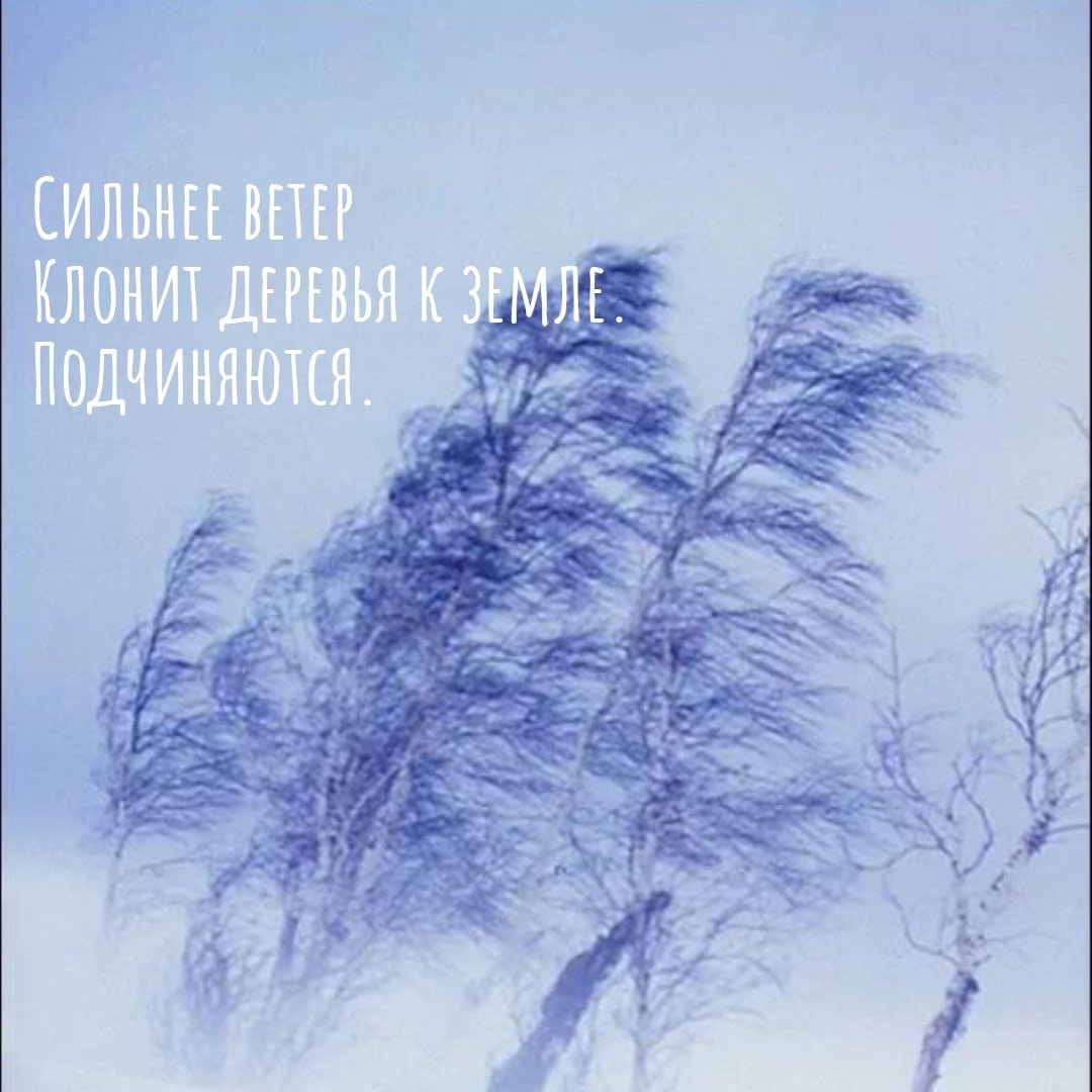 Вьюга для детей