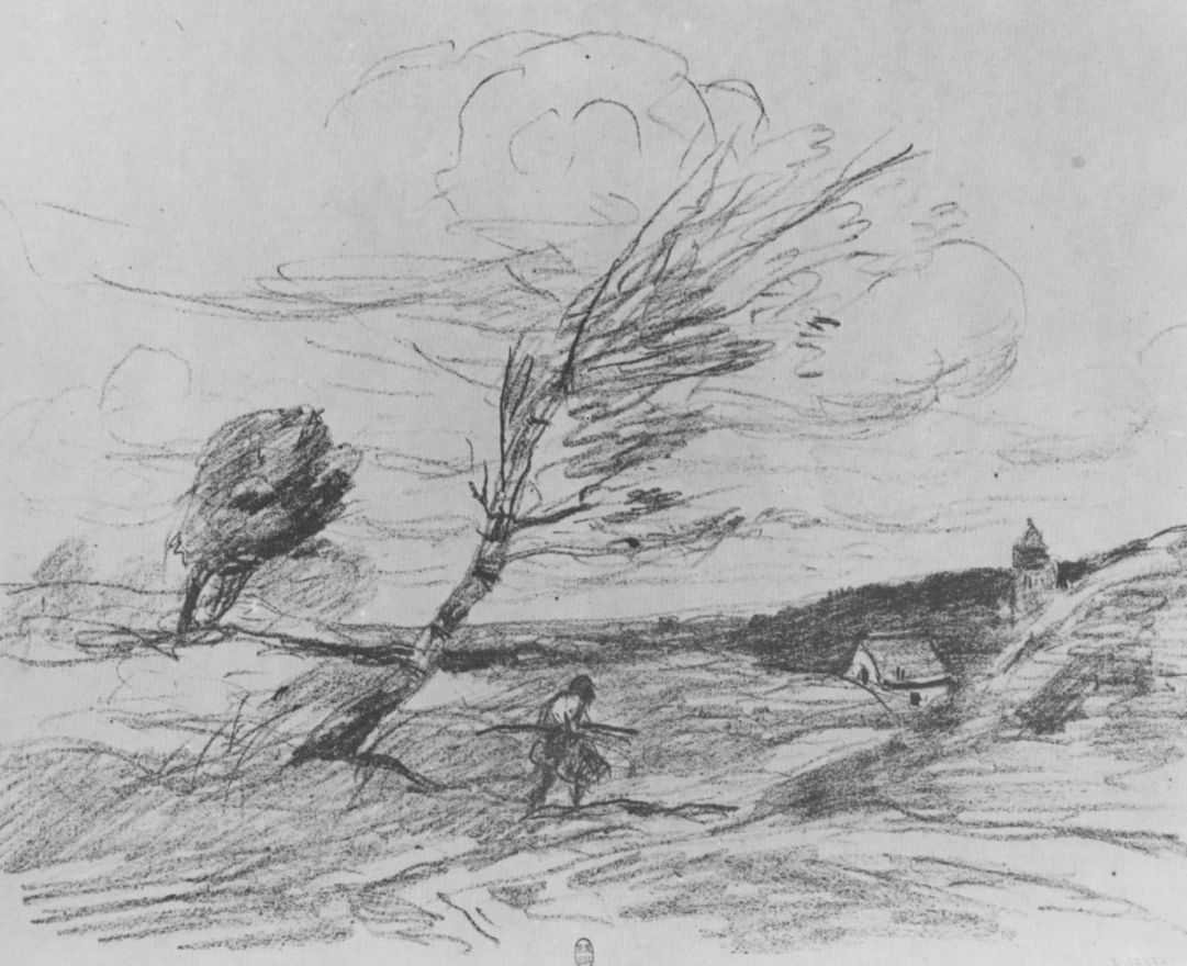 Метель раскраска