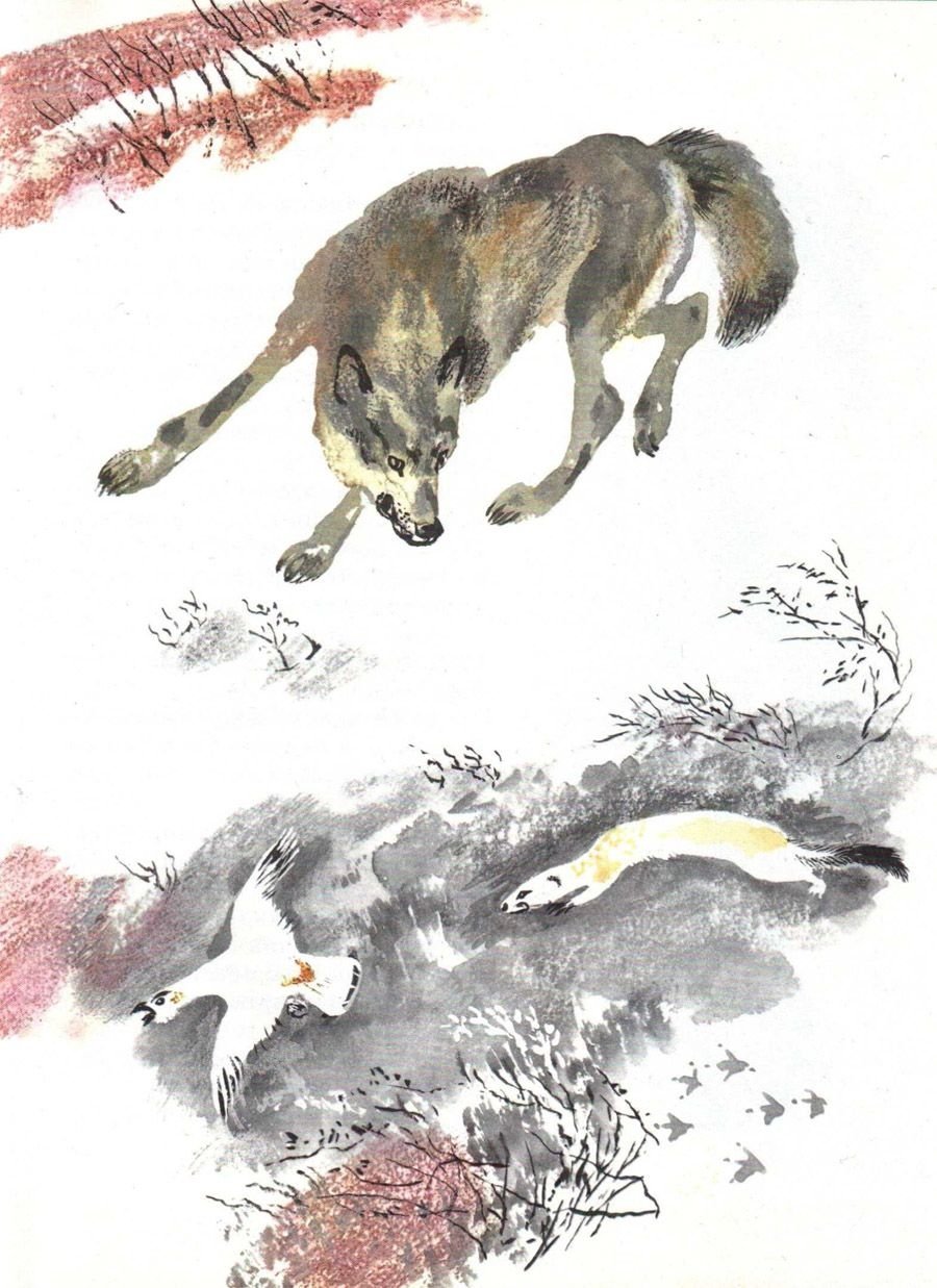 Чарушин е.и. рассказ «про зайчат»