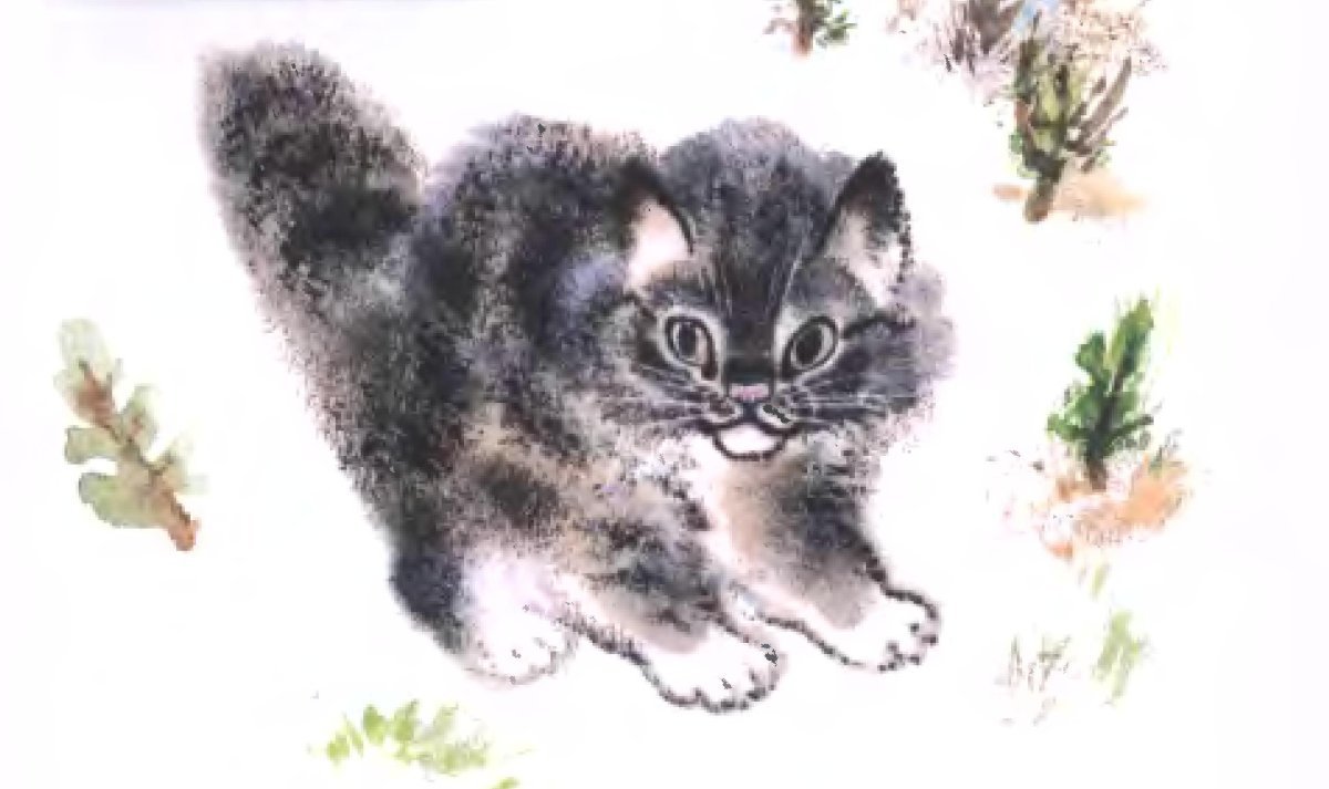 Евгений Чарушин рассказы о животных про Томку