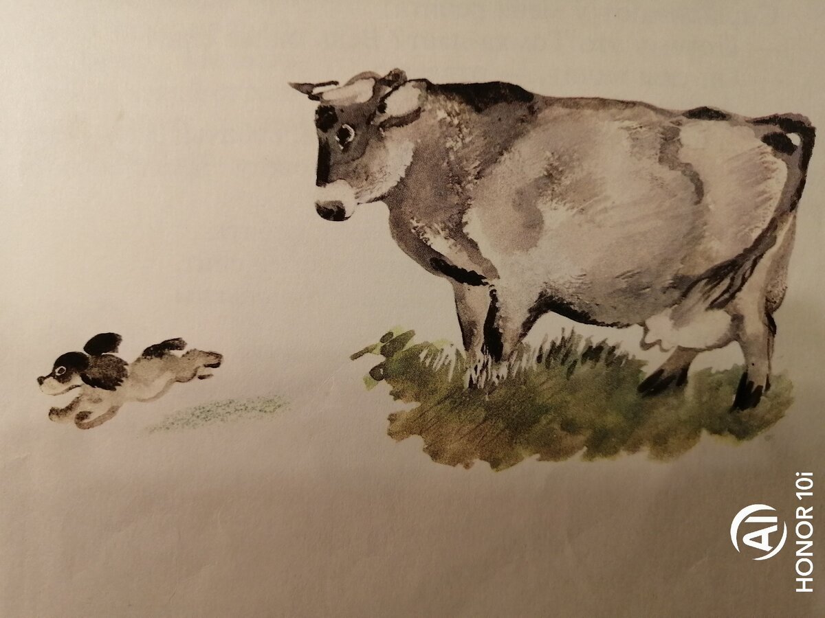 Евгений Чарушин олениха